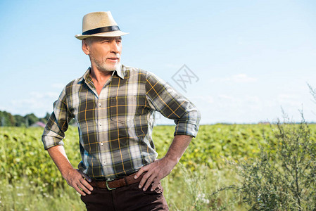 身戴草帽的高级农民在田里图片