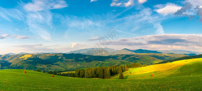 全景的喀尔巴阡山夏季风景图片