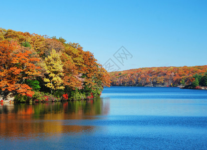 秋天的山湖景森林里五颜六色的树叶图片