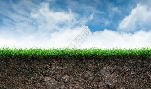 蓝天下的土壤和绿草背景图片