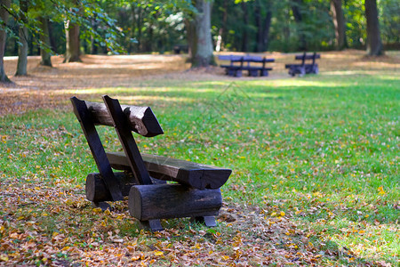 公园里孤独的长凳图片