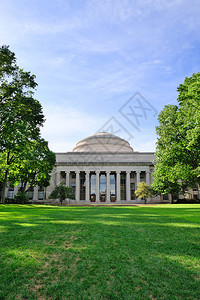 波士顿麻省理工学院校园树木和草坪图片