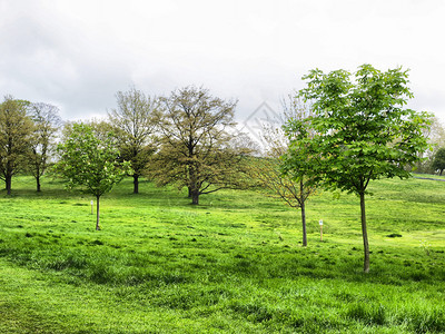 英国格兰伦敦PrimroseHill公园图片