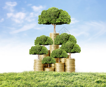 金钱树从金钱中生长的概念背景图片