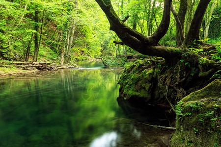 罗马尼亚CheileNerei公园深山林中的河图片