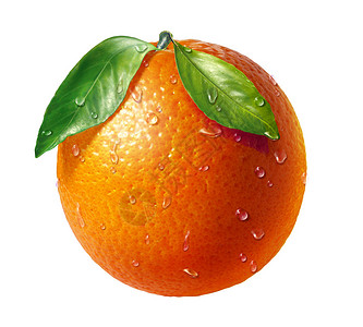 橙色新鲜水果图片