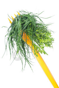 一群新鲜可食用的青草在黄色叉子最小图片