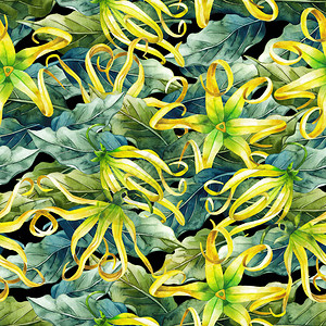水彩燕朗无缝模式手涂叶子和鲜花草背景图片