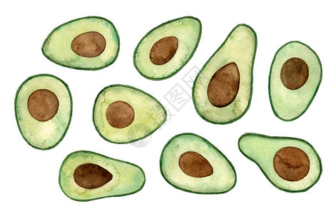 水彩色插图avocado手图片