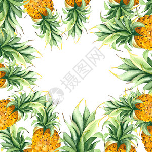 黄色菠萝框架绿色叶子图片