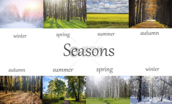 所有季节的照片冬天春天图片