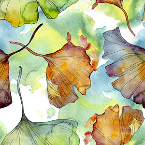 银杏叶植物园花卉叶子水彩插图集水彩画时尚水彩画孤立无缝背景图案织物背景图片