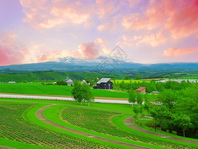 日本北海道农田场景图片