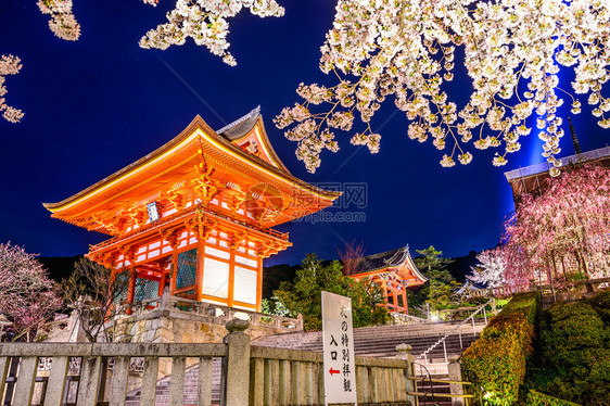 京都日本在春天的清水寺图片
