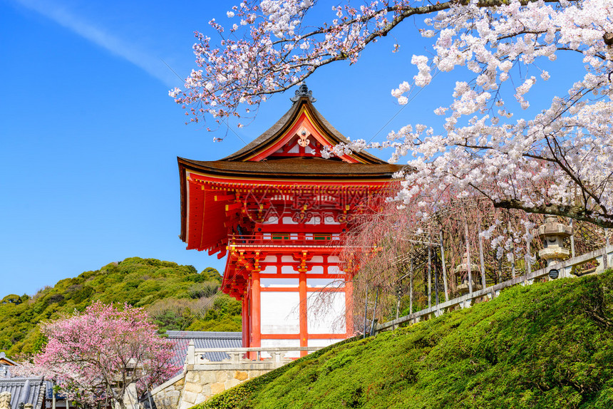 日本京都春天在清水寺图片