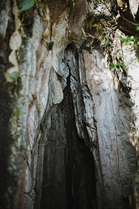 越南岘港美丽的空石洞图片