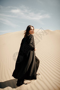 在沙漠中行走的黑斑马图片