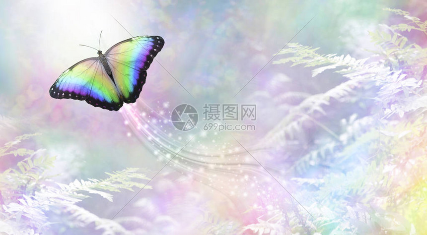 一只彩虹色的蝴蝶朝着白光前进图片