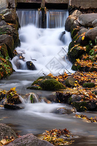 秋天风景中小溪上的瀑布图片