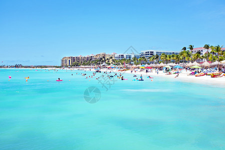 加勒比海阿鲁巴棕榈海滩Atrea图片
