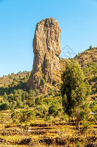 埃塞俄比亚田野和图片
