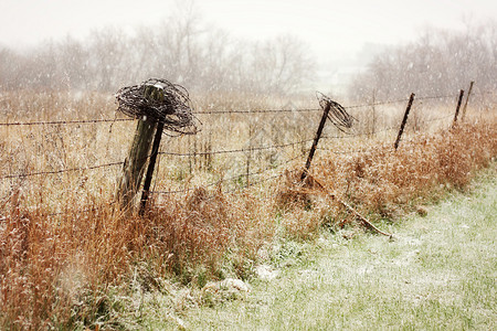 国内一条旧的木头铁丝网和有刺铁丝栅栏正在雪图片