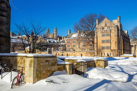 在美国首都新黑文的耶鲁大学楼下雪后冬季的图片