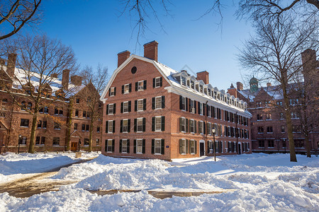 在美国首都新黑文的耶鲁大学楼下雪后冬季的图片