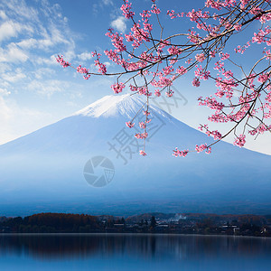 蓬莱松河口湖的富士山和樱花背景