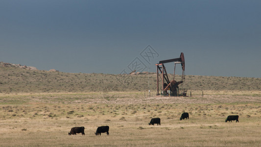 怀俄明州夏延的油田上的抽油机图片