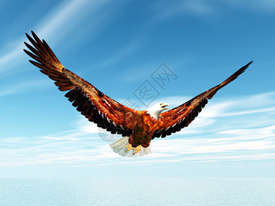 计算机生成的海鹰3D插图图片