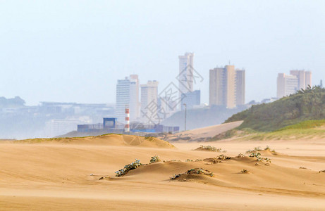 沙滩对沙丘植被和城市天图片