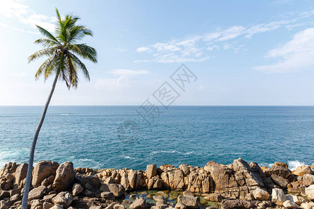 美丽的海岸风景棕榈树和蓝天空SrilankaM图片