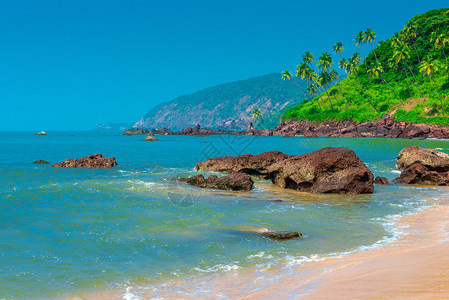 风景秀丽的热带海滩和蓝天图片