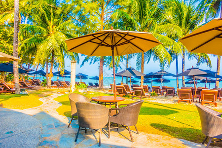 美丽的热带沙滩和海滨景观椰子棕榈树图片