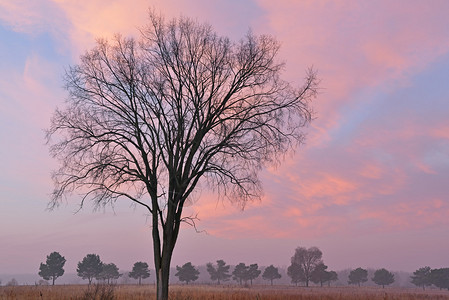 美国密歇根州卡斯特堡州立公园明亮时光照着美丽的粉红天空的白图片