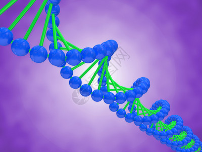 DNA的数字插图图片