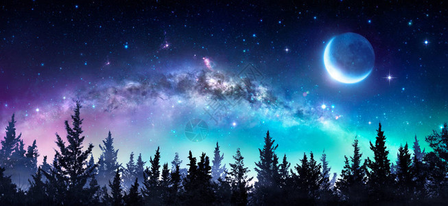 夜林中的银河与月亮图片