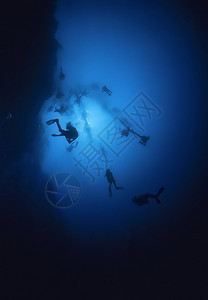 加勒比海伯利兹UW照片伯利兹蓝洞深潜BelizeBlue图片