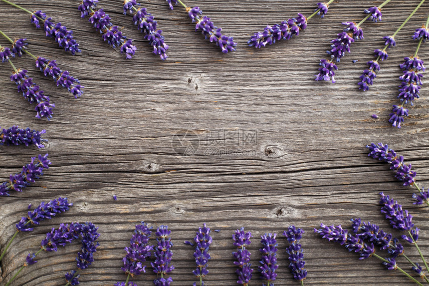 木制背景的紫花朵花边或花框与图片
