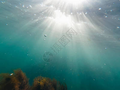 绿海深海底水中有阳光和气泡水图片