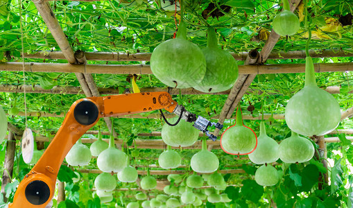 农业中的智能机器人农民图片