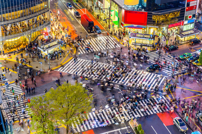 日本对涉谷十字路口的看法图片