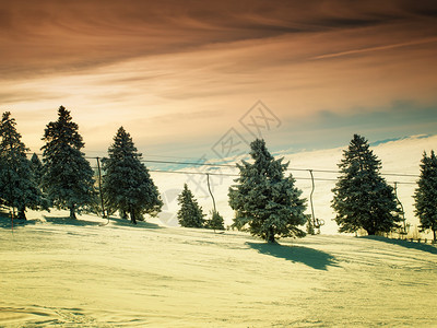 看滑雪缆车和滑雪场旁边的树木图片