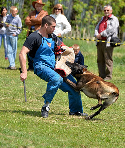 金灿荣谈邵佳一：中国足球的进步，归根结底还得靠中国人自己