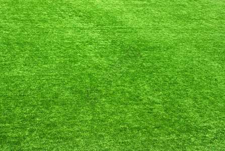 绿草的背景纹理绿色草坪图片