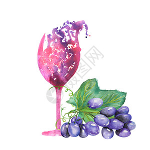 孤立的水彩抽象杯红酒和一串蓝葡萄的图像在白色背景上图片