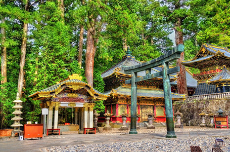 日本Nikko图片