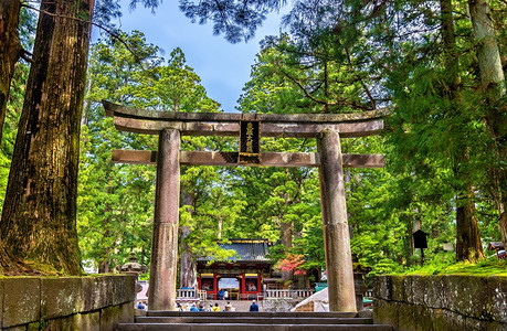日本Nikko图片