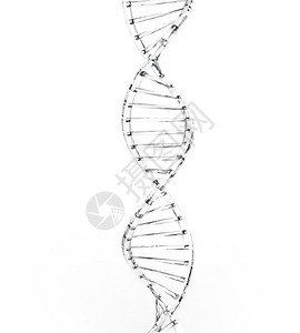 玻璃DNA图片